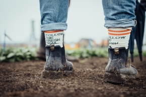 Bild für Kategorie BU Vegetables